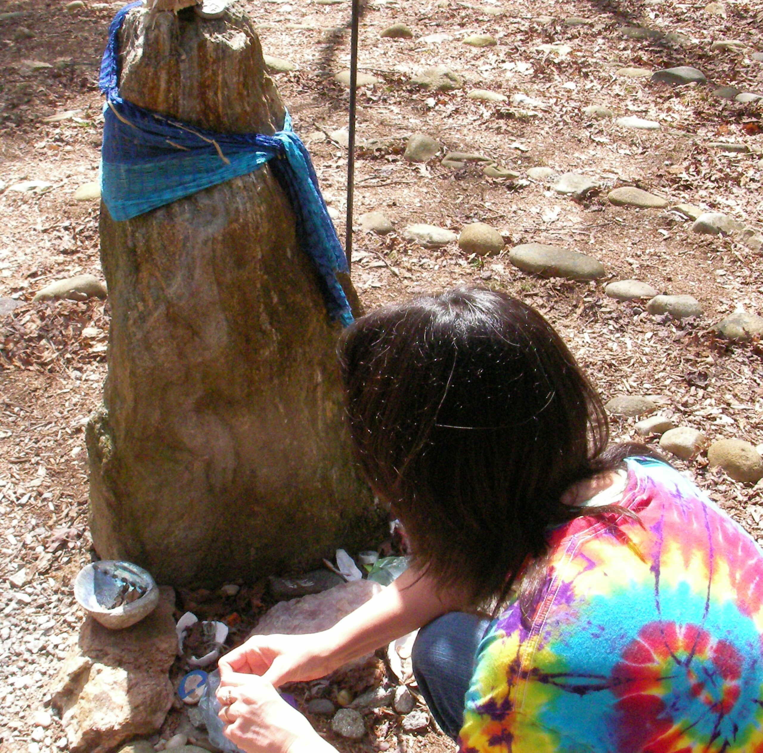 Mindfulness-Based Ecotherapy Facilitator Certification Program