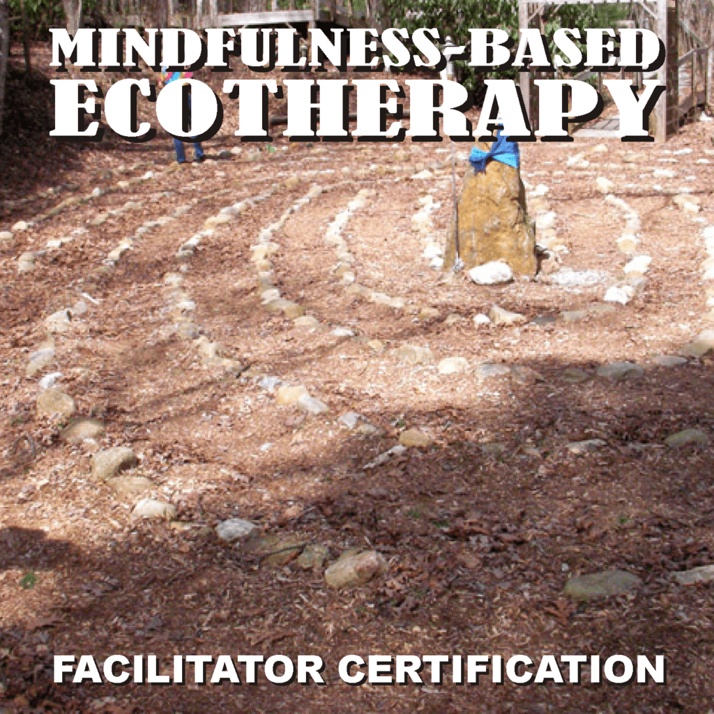 Mindfulness-Based Ecotherapy Facilitator Certification Course