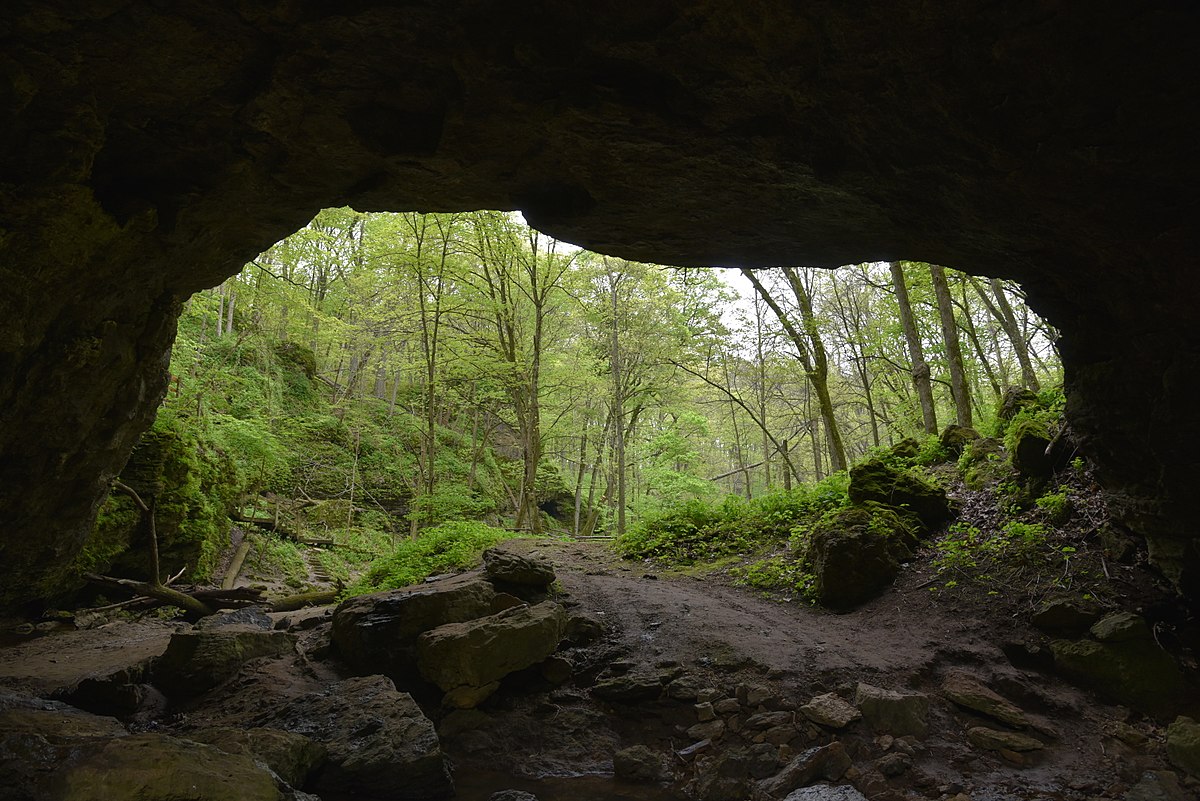 05.08 Ecotherapy for Therapists – Ecotherapy Module Summary and Review