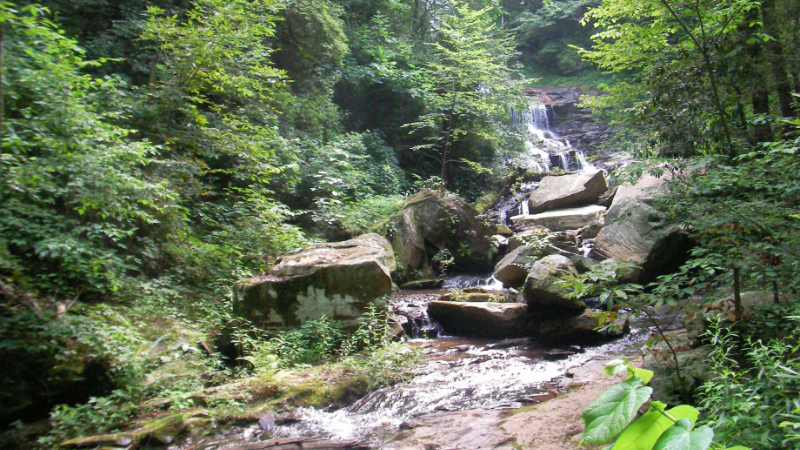 Mindfulness-Based Ecotherapy Pearson's Falls, Saluda, NC