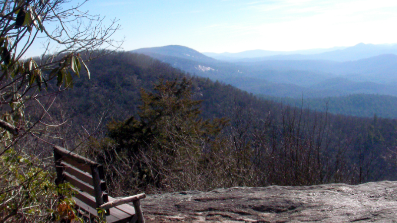 Mindfulness-Based Ecotherapy: An Introduction