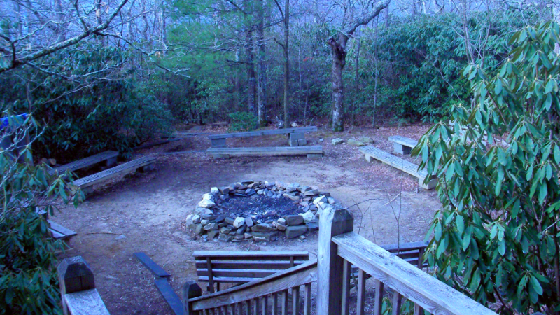 06.11 Mindfulness-Based Ecotherapy Program Facilitator Training – Session 5: Wise Mind and Wise Body