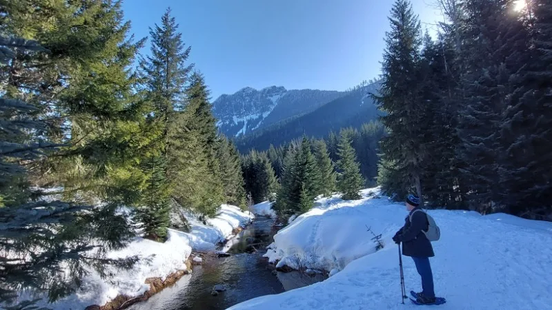 05.04 Ecotherapy for Therapists – Experiential Activity 4: Pilgrimage