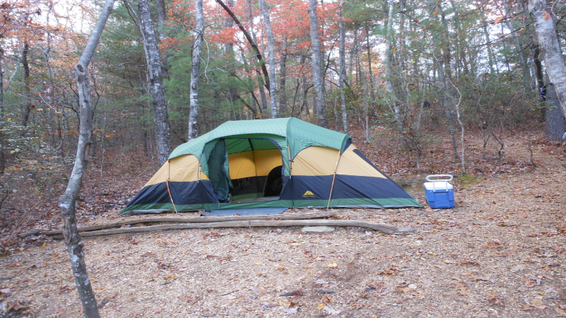 Survival Camping