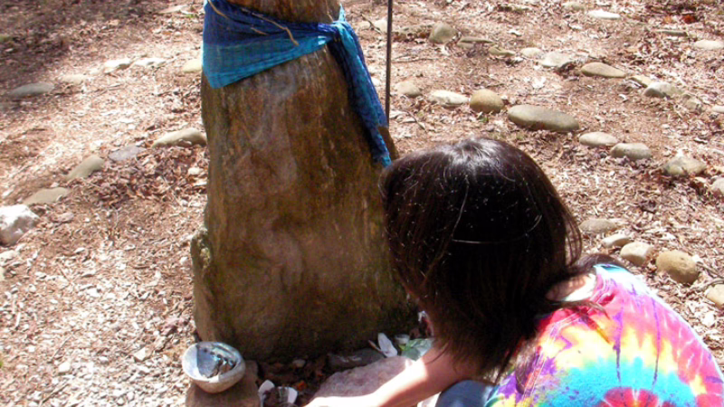 Mindfulness-Based Ecotherapy Facilitator Certification Program MBE sacred space meditation