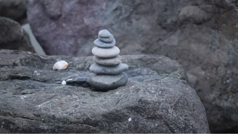 Mindfulness for Therapists