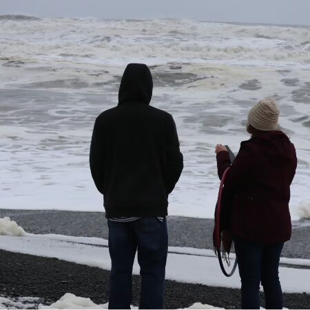 DBT-Informed Therapy Online Home Study Course