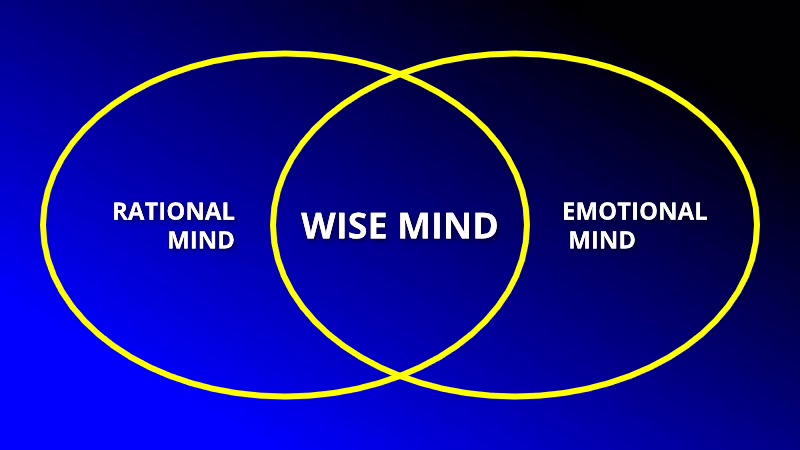 Wise Mind and being non-judgmental