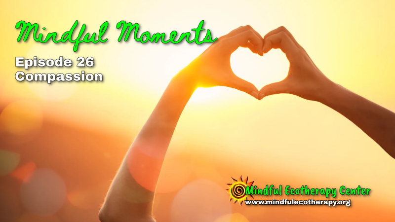 Mindful Moments: Compassion