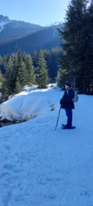 Contemplation in nature