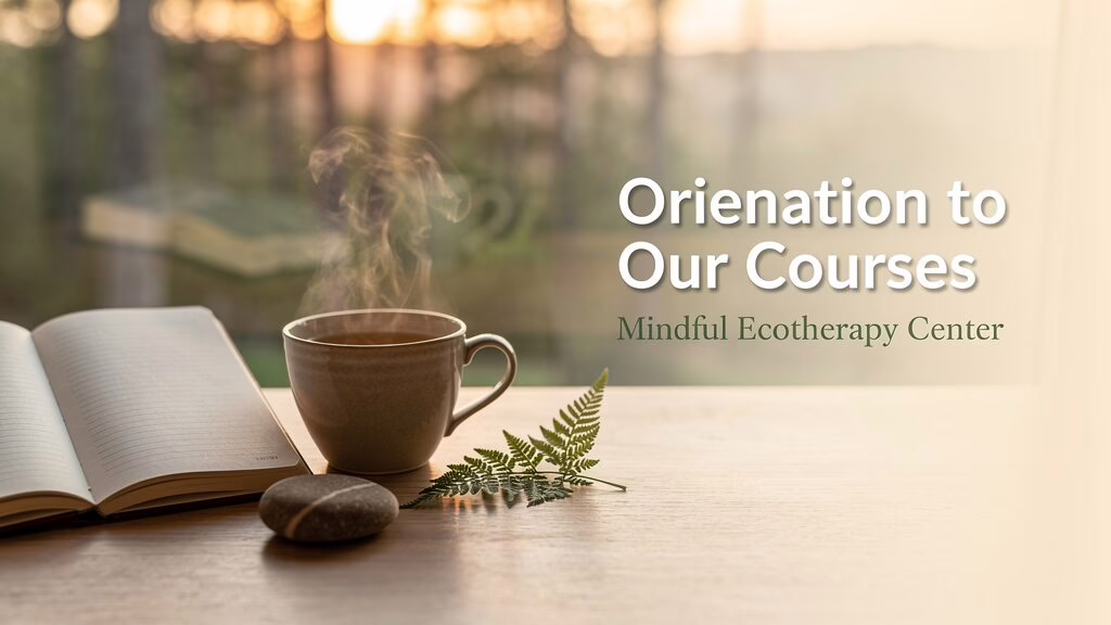 orientation to our courses