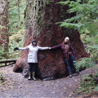 ethics and ecotherapy