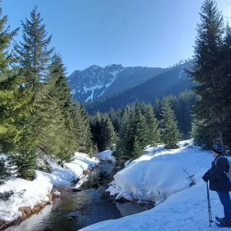 Ecospirituality: An Introduction Online Home Study Course