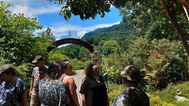 About MBE: Mindfulness-Based Ecotherapy Facilitator Certification Training - Therapeutic Gardening