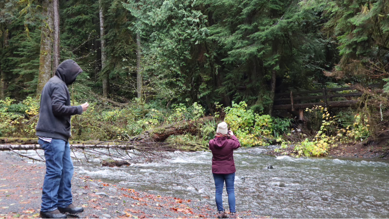 ecotherapy Mindfulness-Based Ecotherapy Resources Worksheets Ecotherapy in the Pacific Northwest