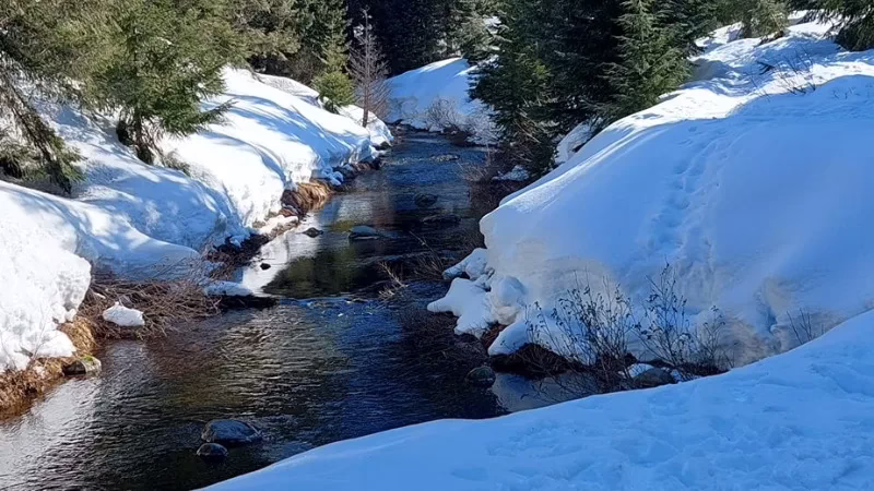 Snowballing ruminating cycle