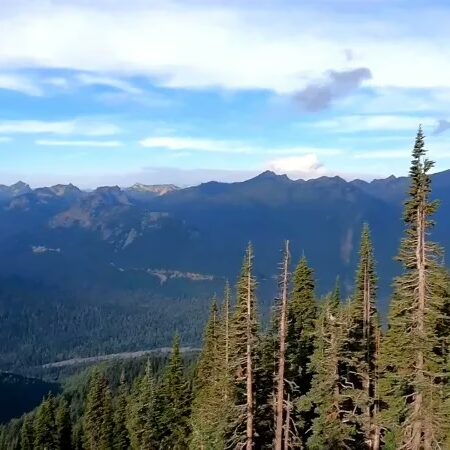 Ecospirituality Workbook Cover Photo Ecospirituality Group Facilitator Certification Program