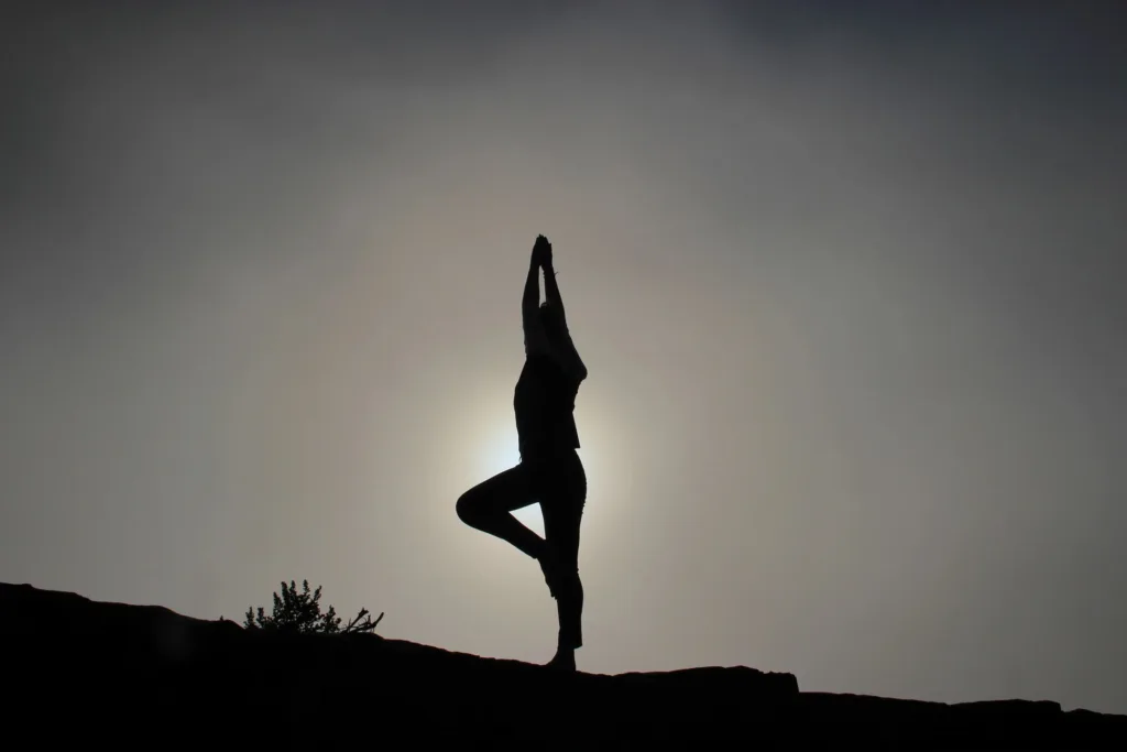 wise mind wise body yoga