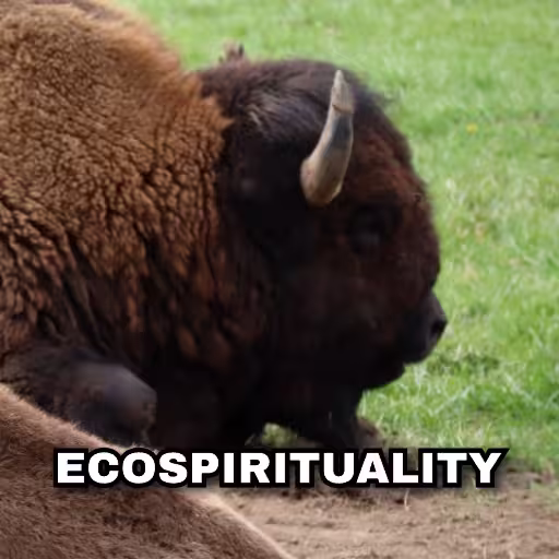 Ecospirituality