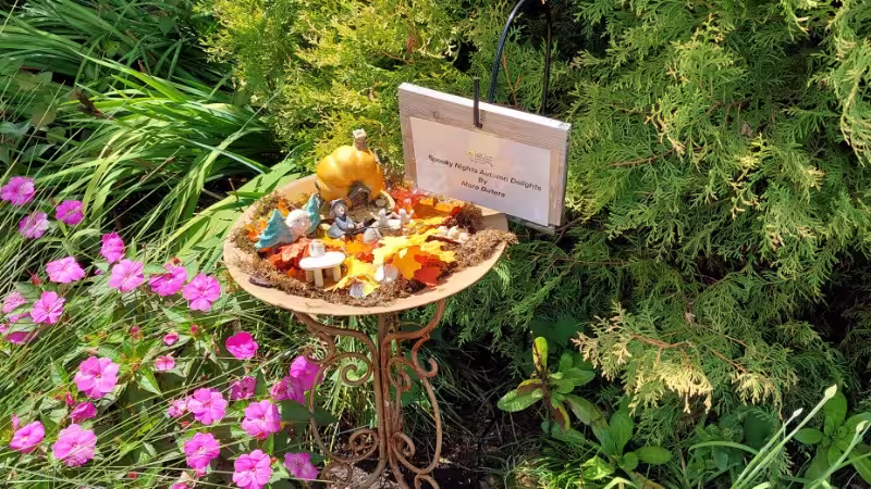 Eco Art Therapy & Processing Emotional Pain