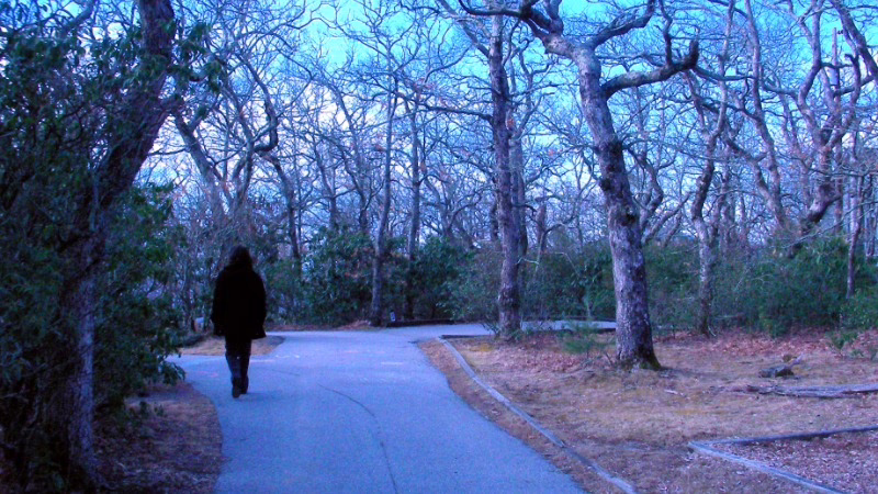 Depression Restoring Balance Through Mindful Practices in Nature