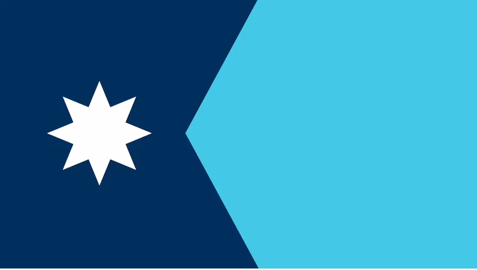 Minnesota state flag