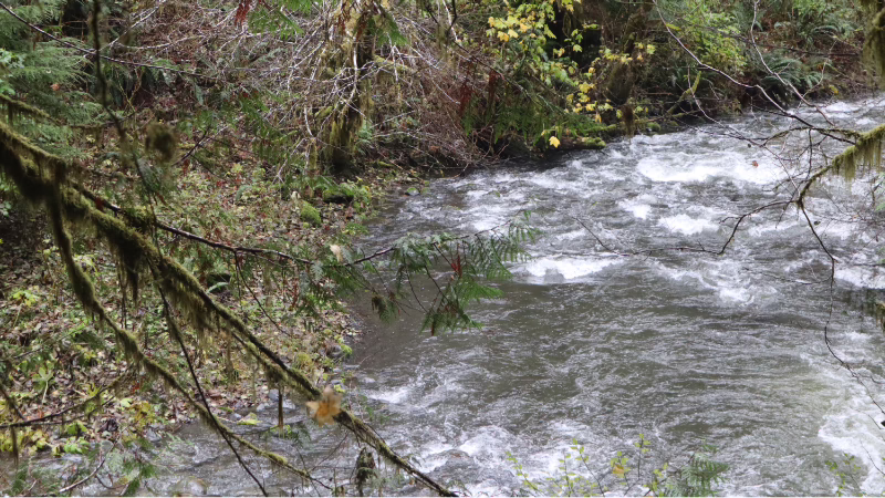 Water Meditation: Using Rivers, Lakes, and Oceans for Emotional Healing