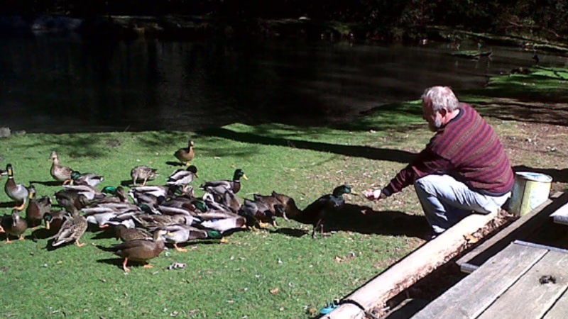 Addiction and Recovery: How Mindfulness-Based Ecotherapy Supports Healing