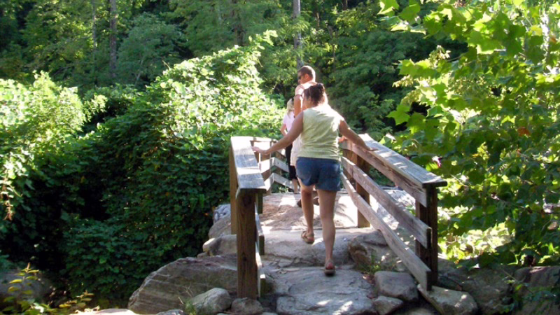 embodied mindfulness