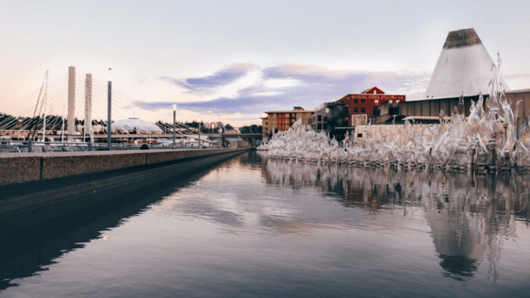 terms and conditions