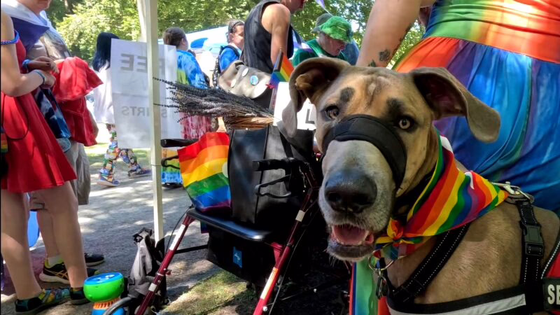 Happy Pride Month 2026